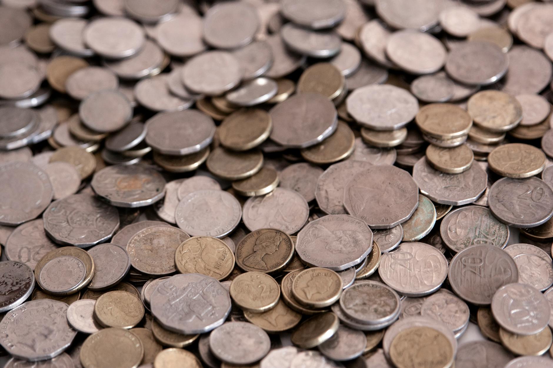 New Zealand Coins Money Budget
