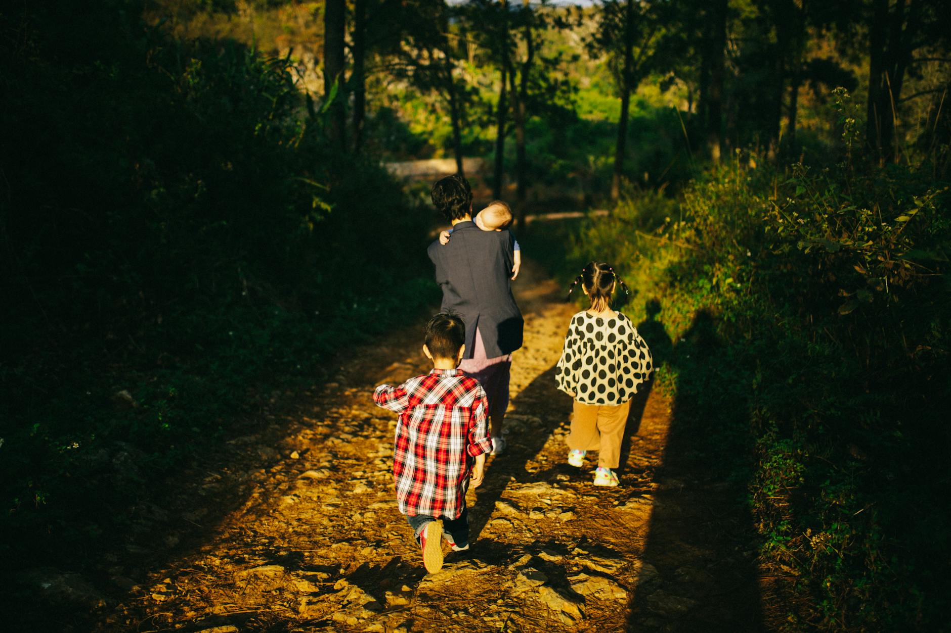 Easy nature walk through bush near Lake Taupo for beginners