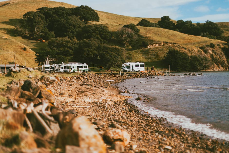 Freedom camping in a campervan near Lake Taupo