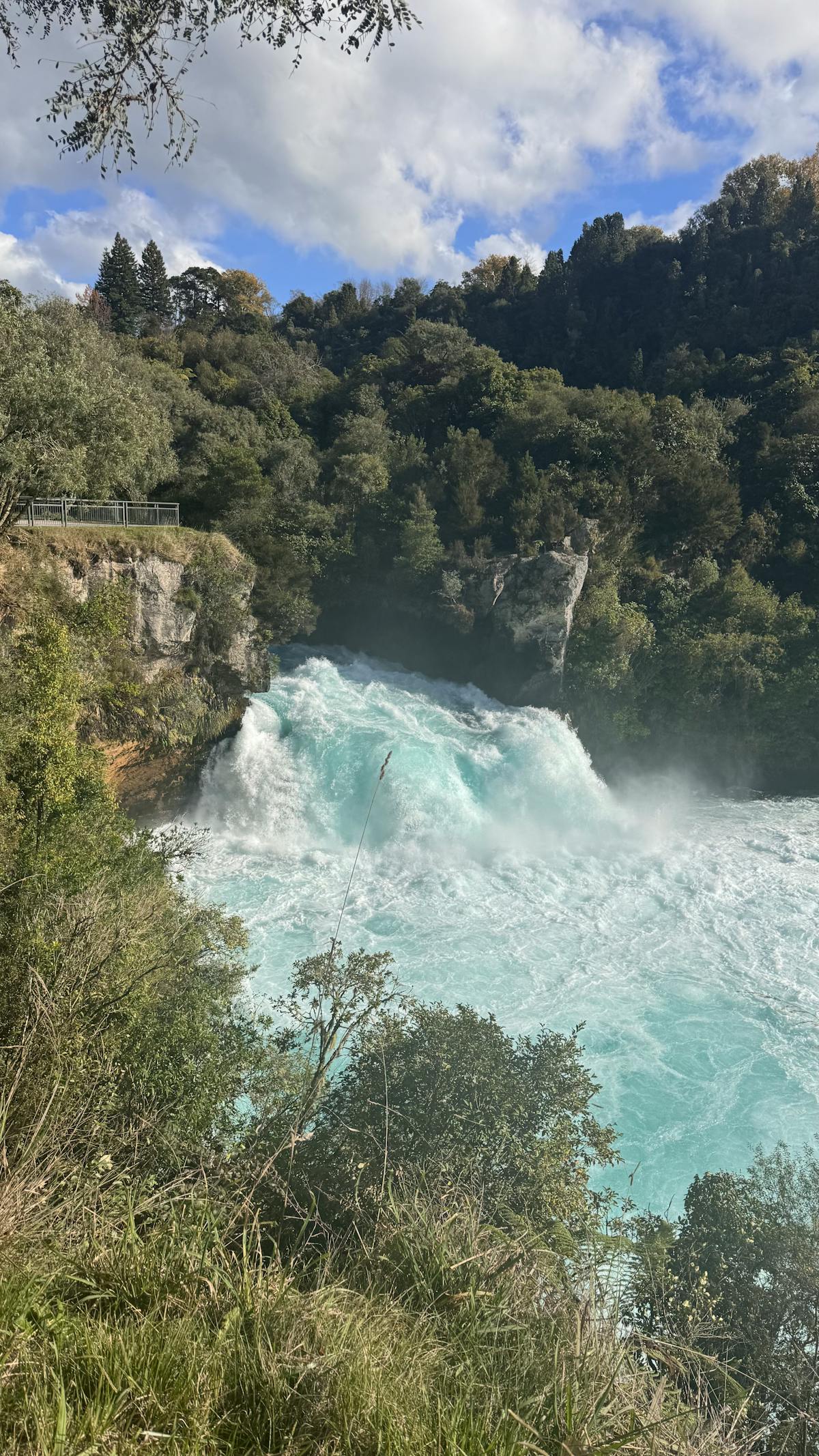 Huka Falls powerful rapids flowing through lush green forest in Taupo New Zealand