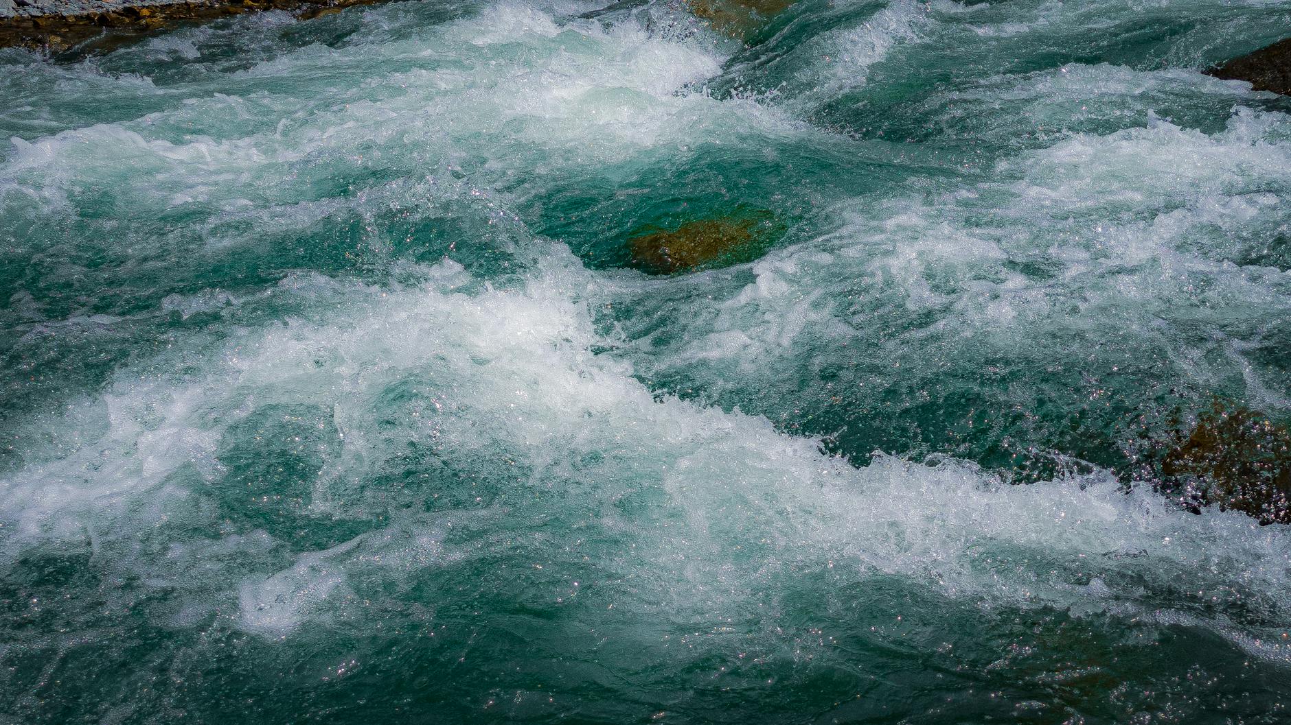 Huka Falls walking trail through native bush Taupo