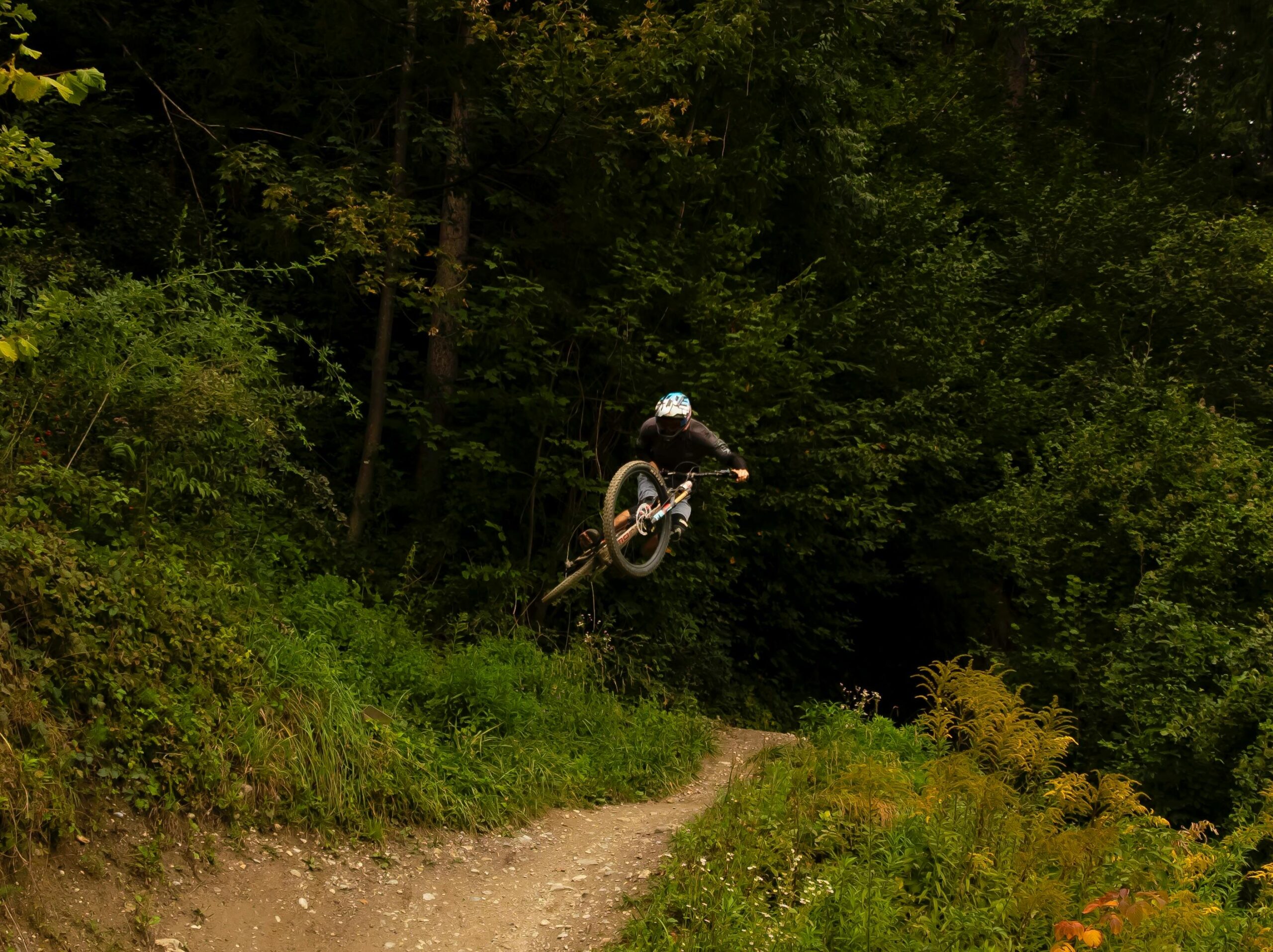 Mountain biking on forest trail near Lake Taupo