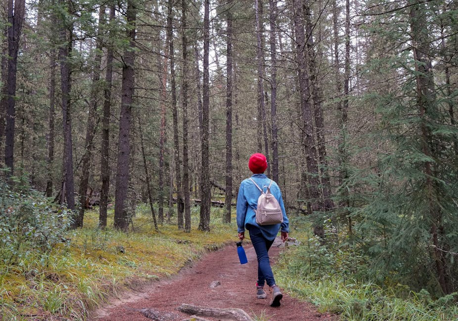Solo hiker walking along a scenic nature trail