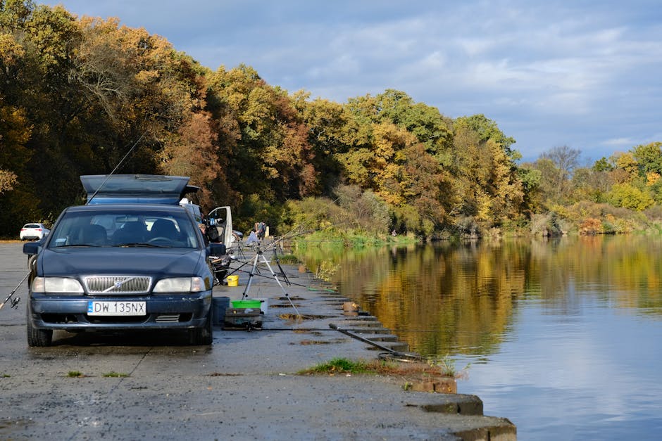 Taupo fishing license required for trout fishing