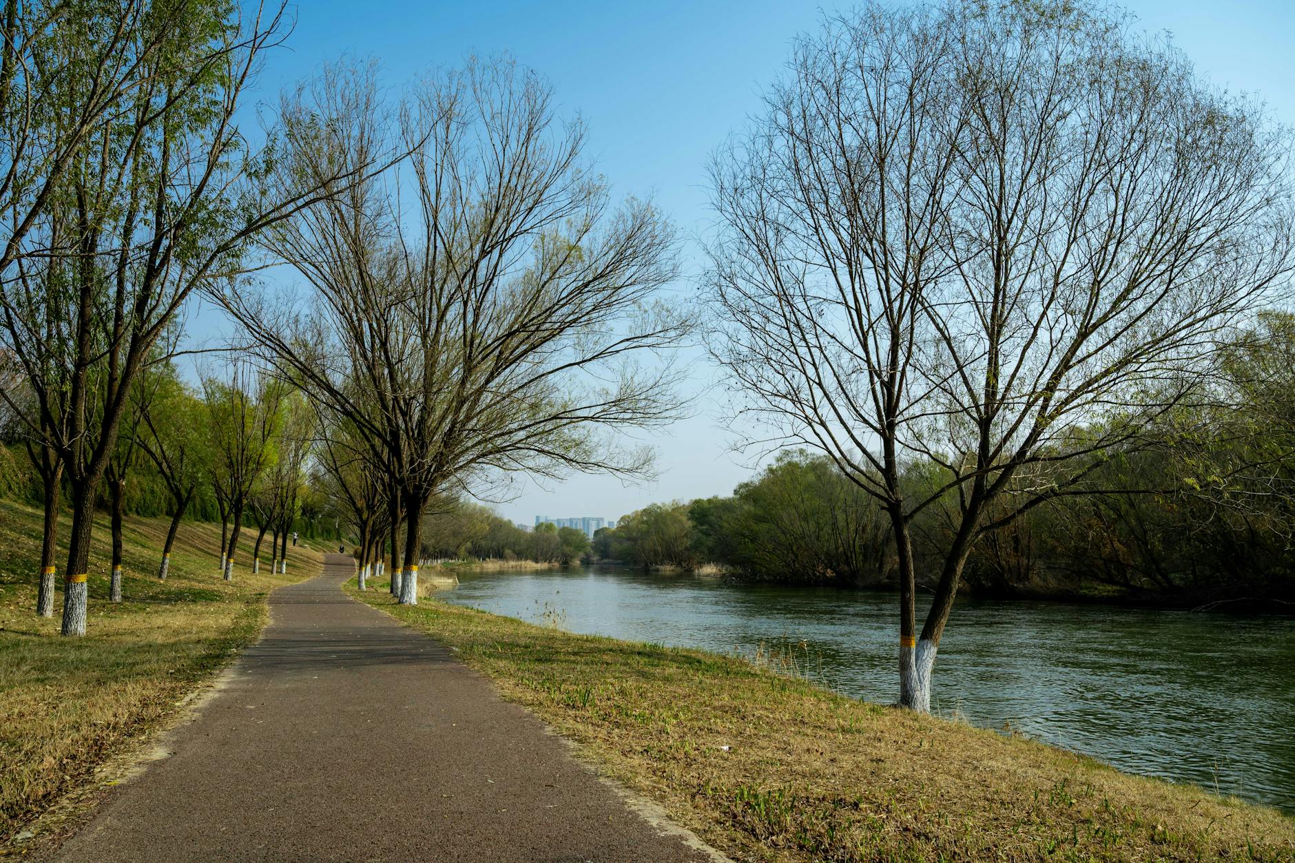 Walking path along the Waikato River near Taupo