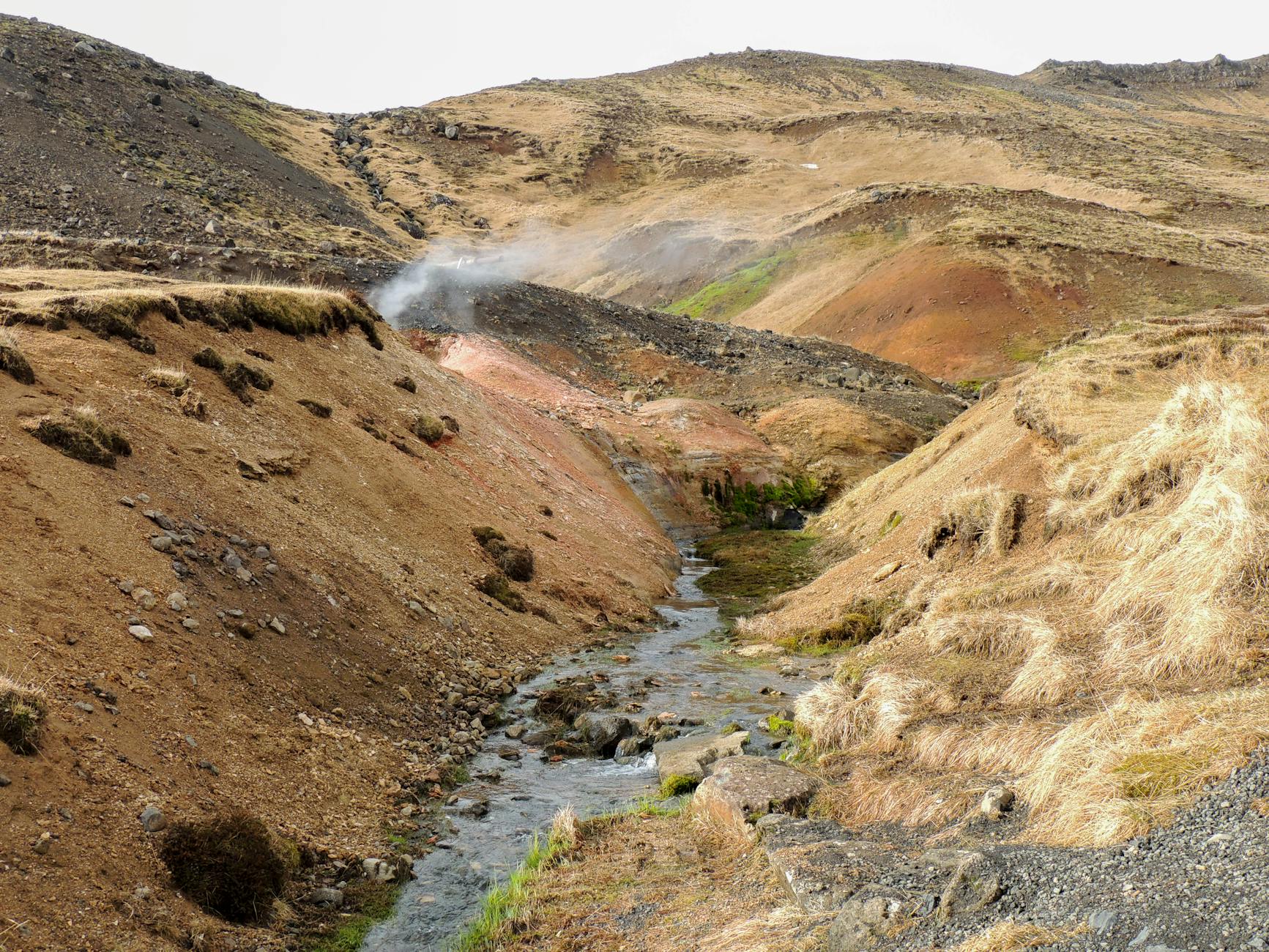 Steam rising from geothermal stream flowing through lush native bush