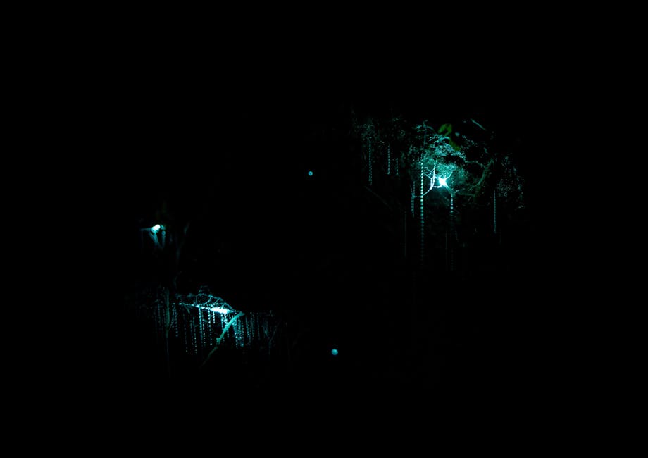 Magical underground cave illuminated by blue glowworm light
