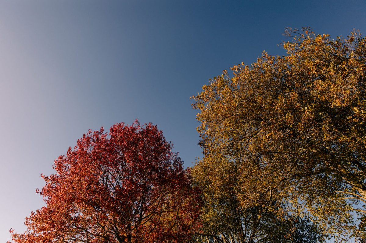 Autumn colour around Lake Taupo in the shoulder season