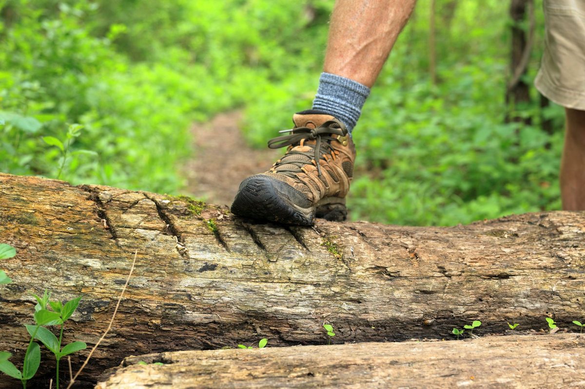 Sturdy hiking boots for Taupo trails