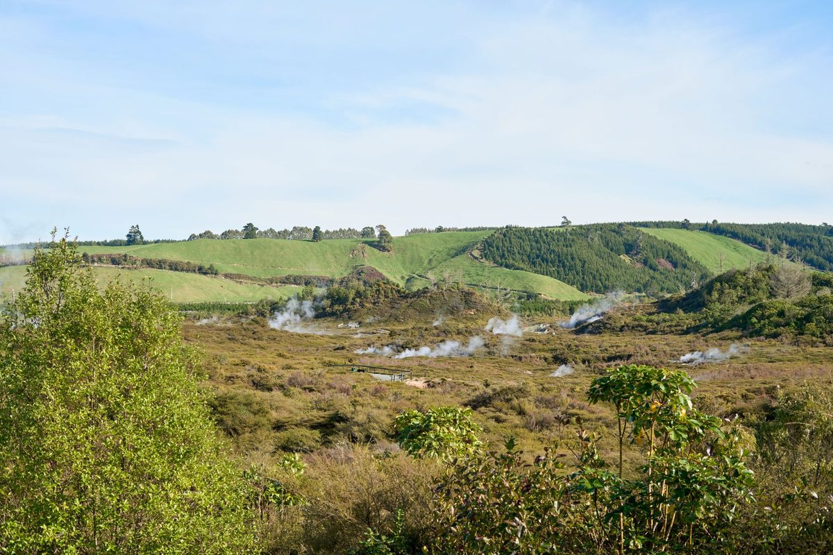 Steam rising from a geothermal valley in the Taupo volcanic zone