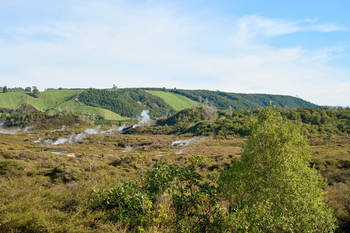 Fumaroles releasing steam across a geothermal field near Taupo