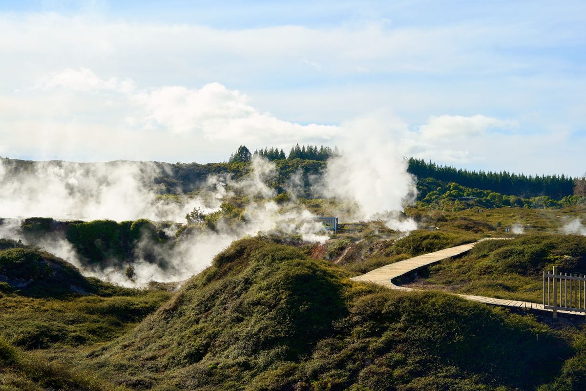 Boardwalk winding through a steaming geothermal landscape near Taupo