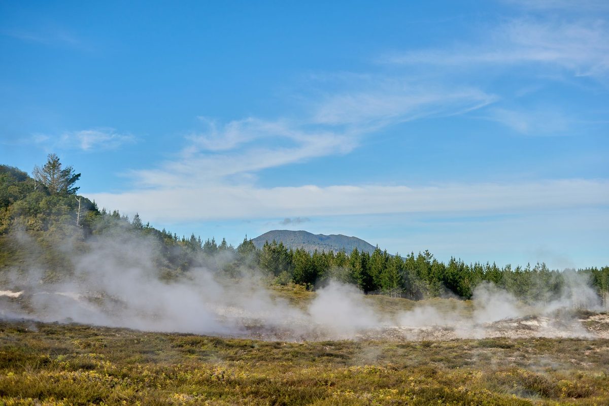 Scrubland and pine forest with geothermal steam rising near Taupo, mountain in the distance