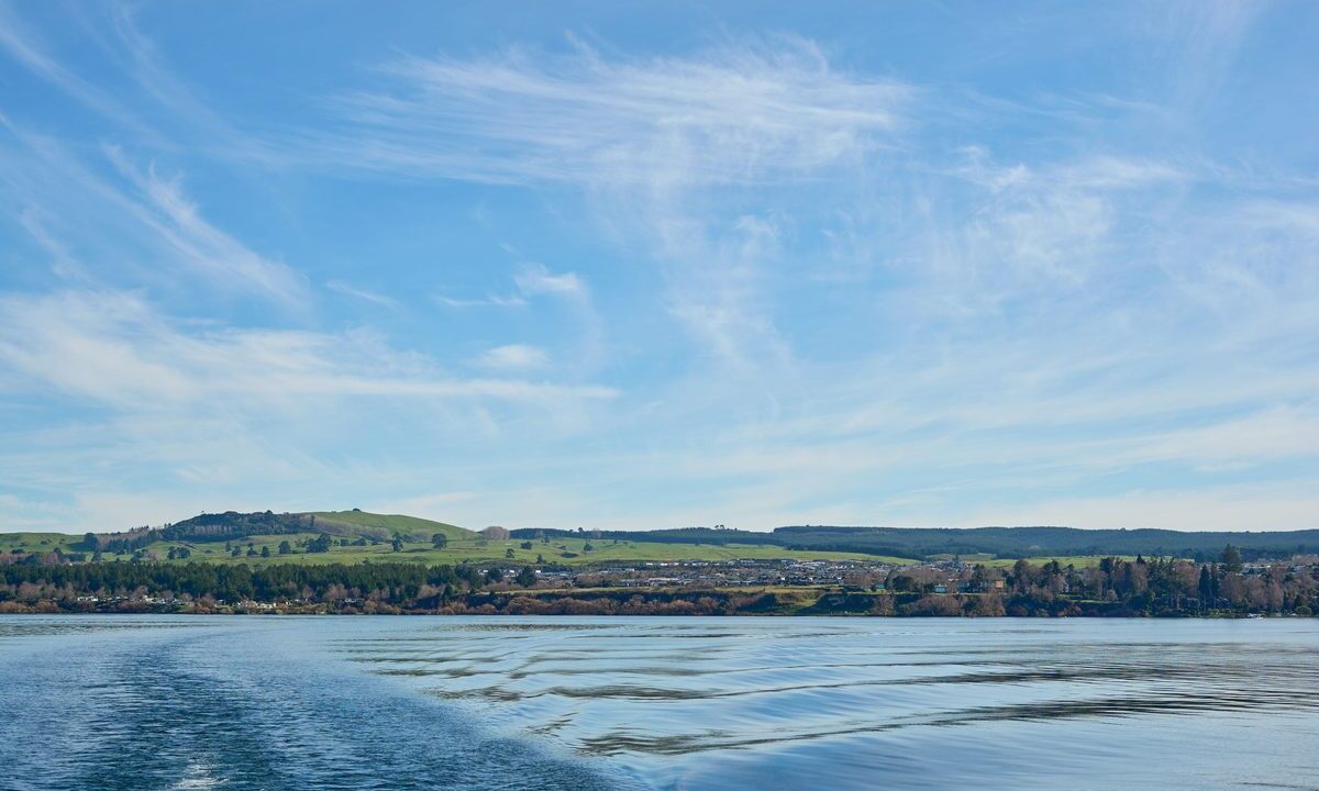 Lake Taupo shoreline on a clear day, one of the easy walks Taupo offers close to town