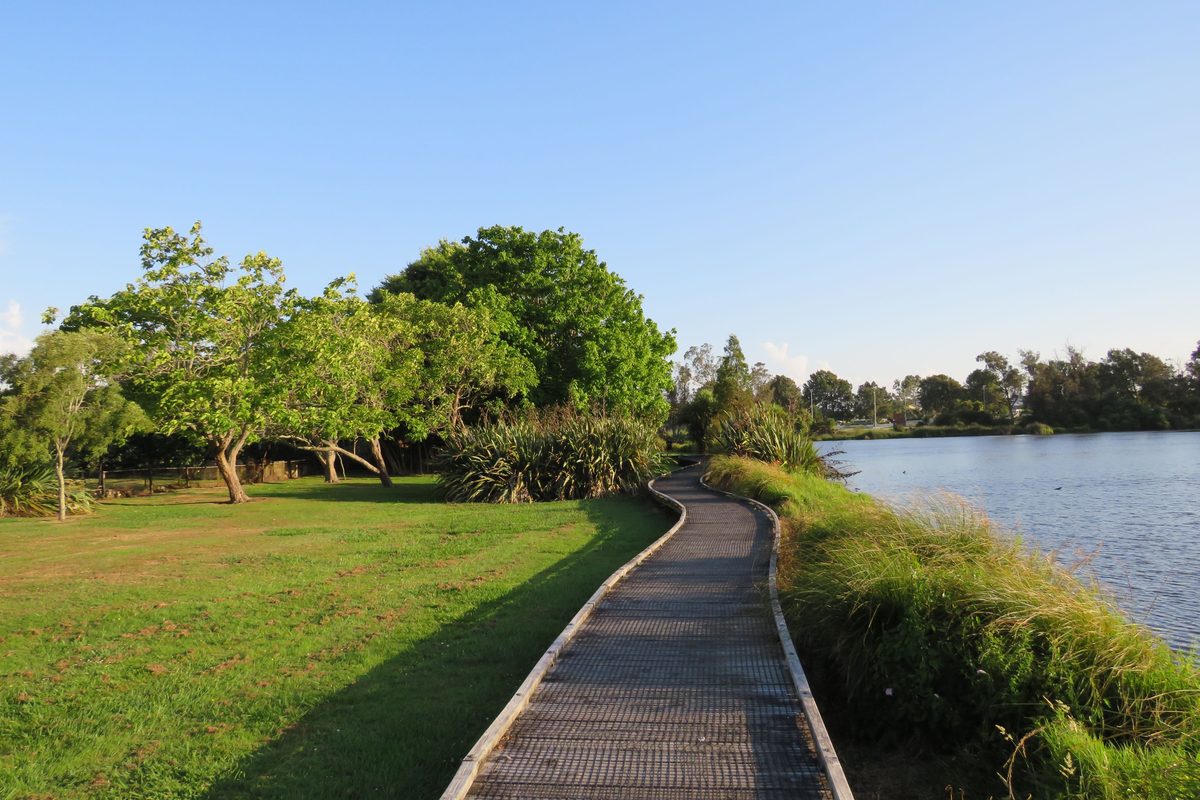 Flat lakeside boardwalk path lined with grass and trees, typical of Taupo's lakefront walkway