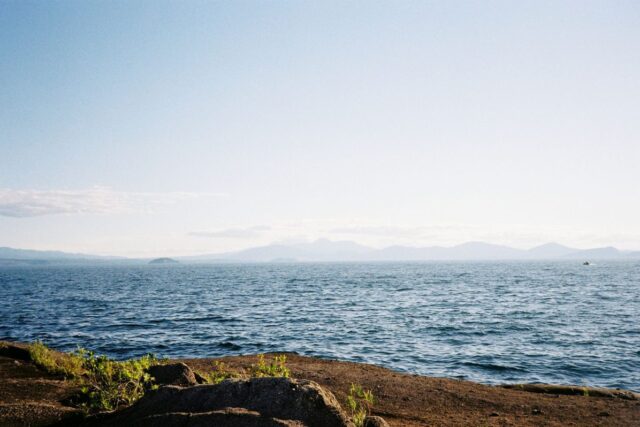 Lake Taupo shoreline view, the centrepiece of free things to do in Taupo New Zealand