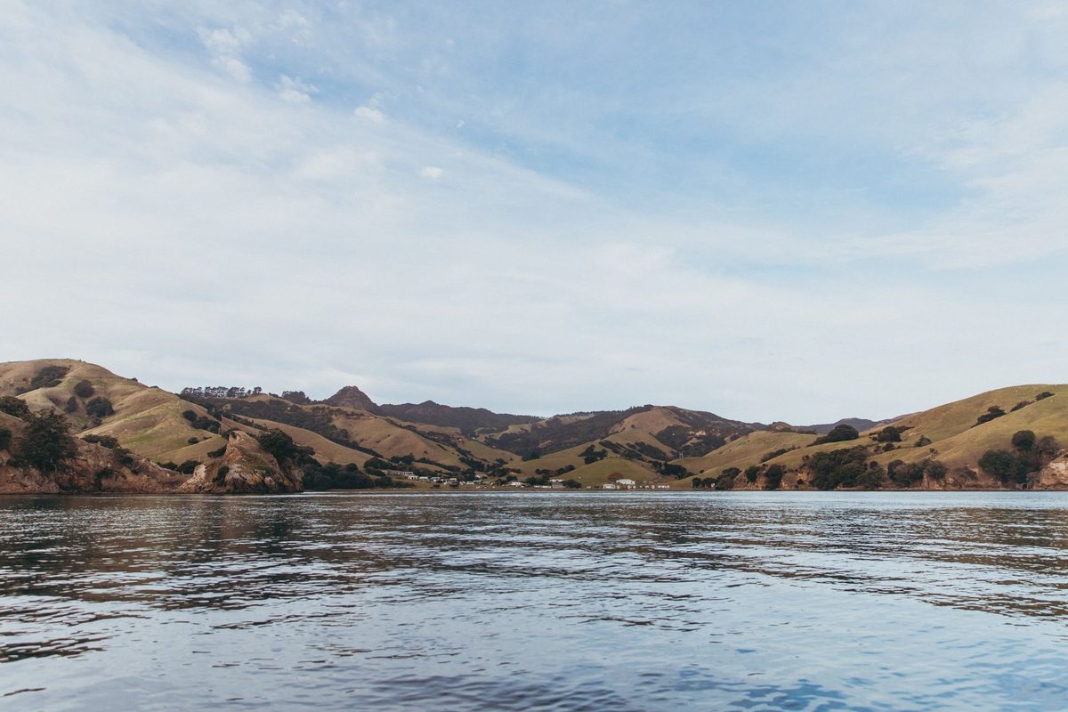 Hills rolling down to calm water in New Zealand's Waikato region