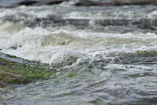 Huka Falls walk: fast white water churning through a narrow rock channel on the Waikato River
