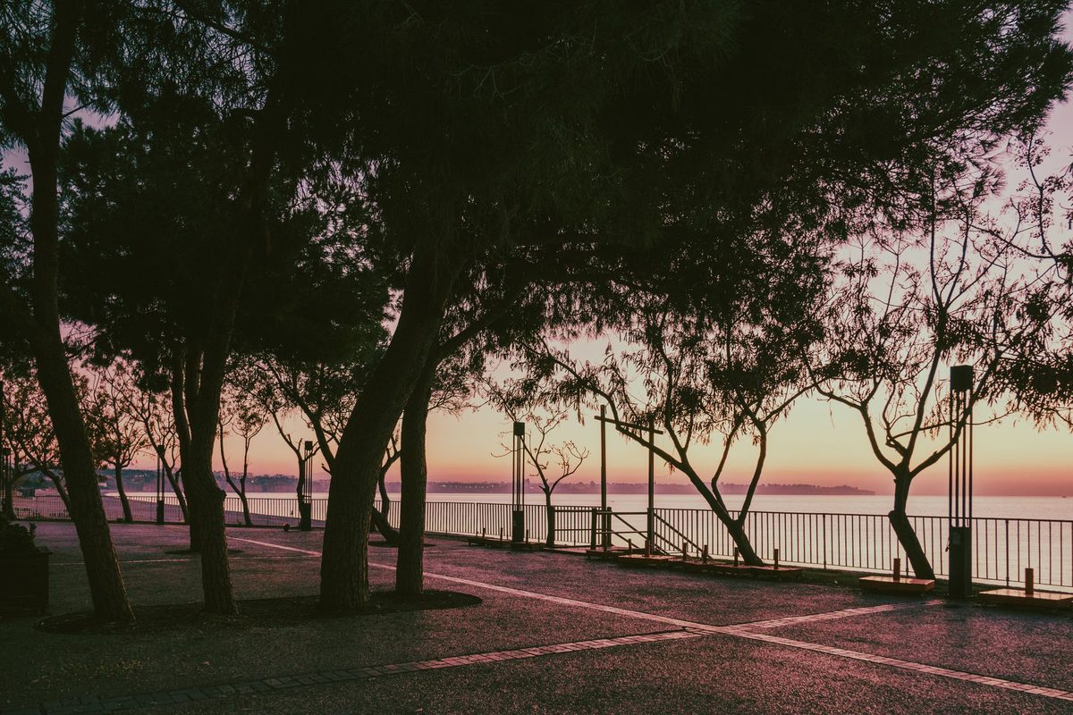 Lit waterfront path beside a lake at dusk