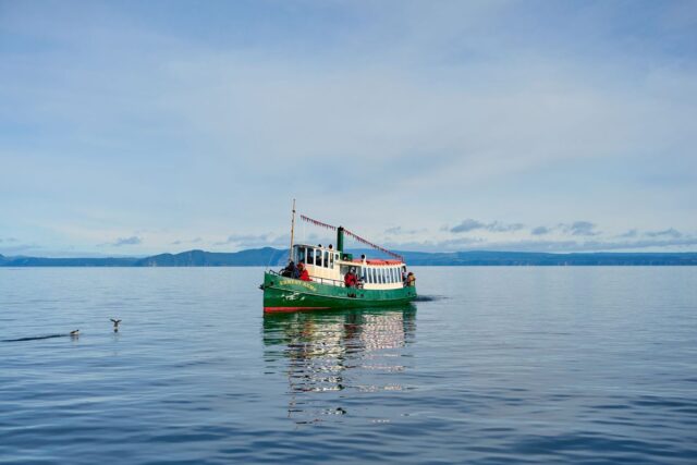 Best swimming spots at Lake Taupo: calm lake water on a summer morning